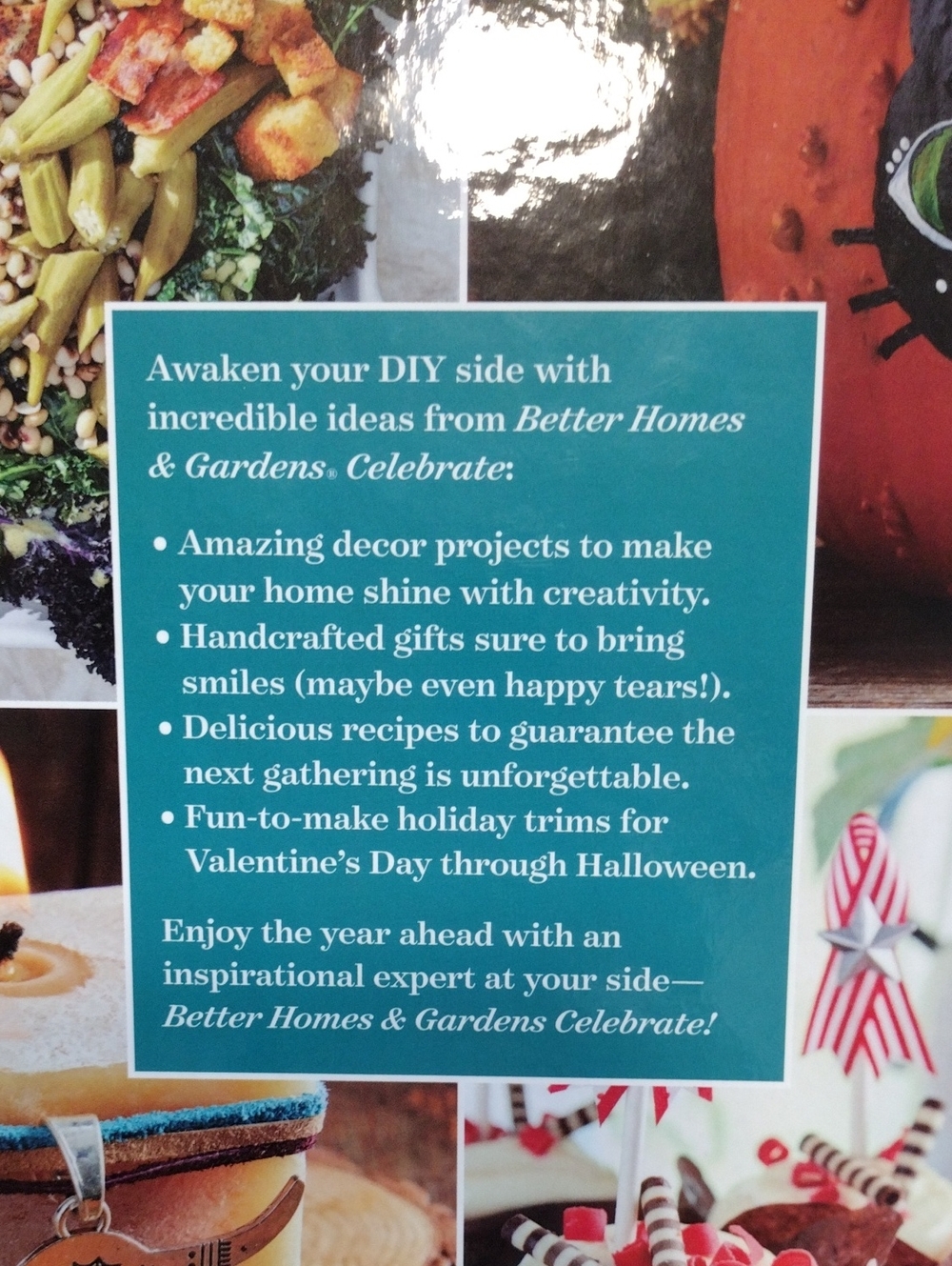 Better Homes & Gardens Celebrate Volume 11 DIY Arts & Crafts - Picture 3 of 4